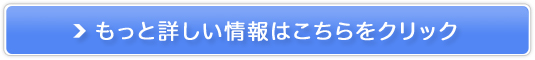 VNT̔TCg